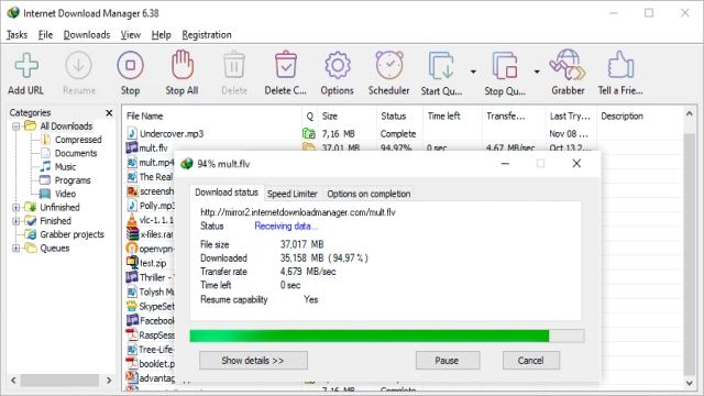 Internet Download Manager v6.42.22