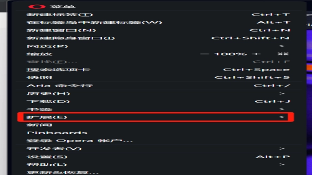 Opera浏览器断网困扰？两招快速恢复联网访问